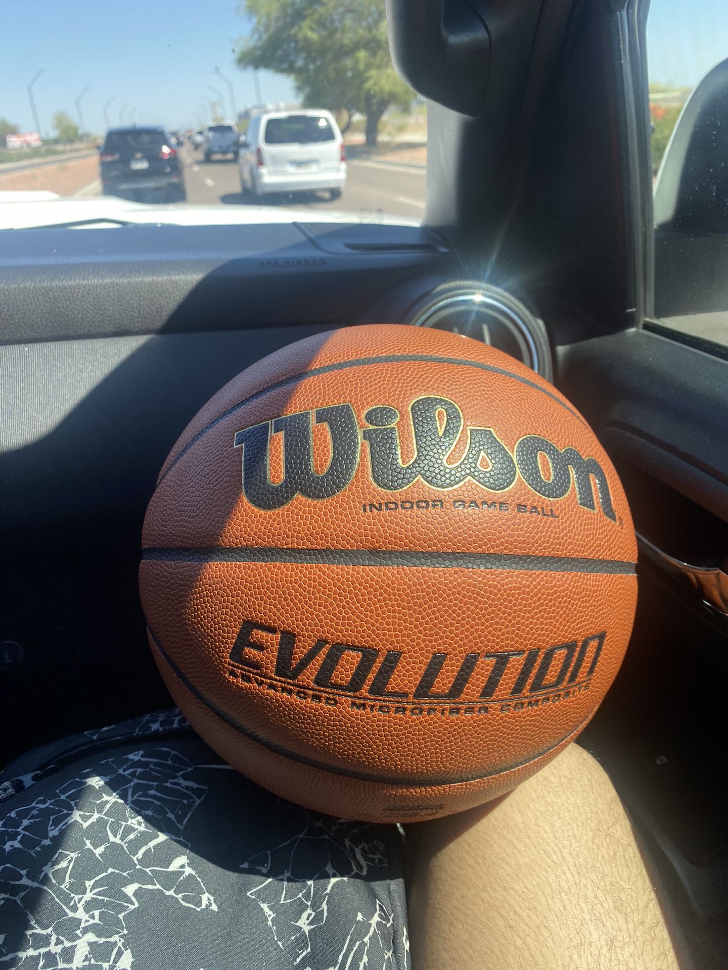 Wilson Evo Basketball 