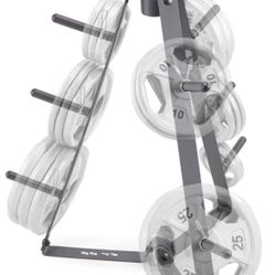 Plate Holder With Plates And 10lbs Bar