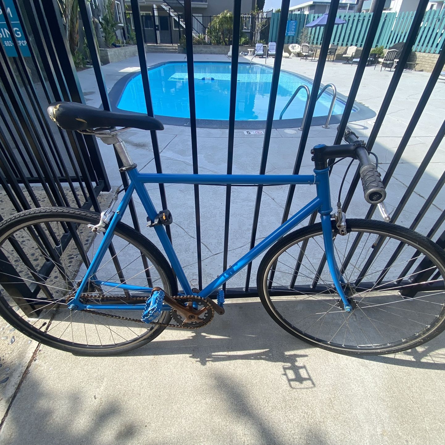 Single Speed Road Bike | Needs To Go Today!