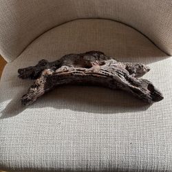 Handmade tree trunk pottery 