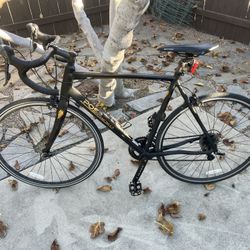 Poseidon triton X Bike 