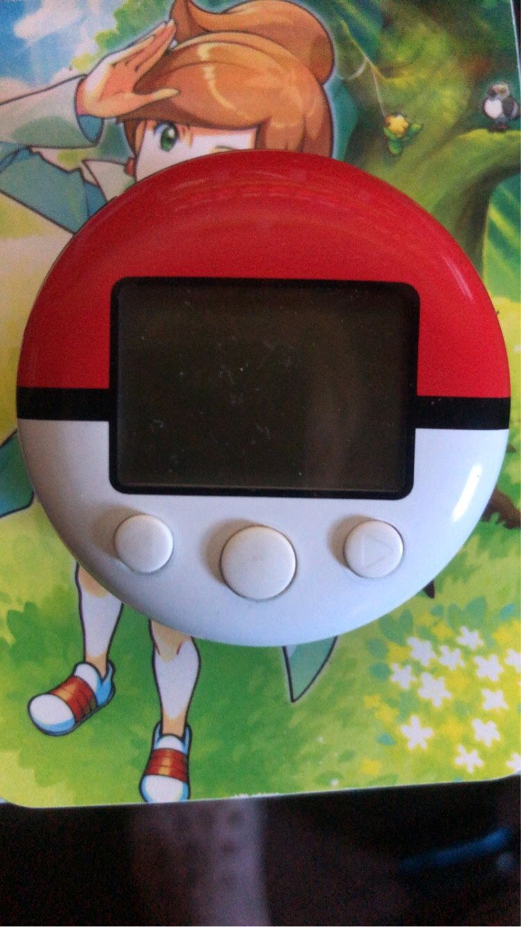Pokewalker