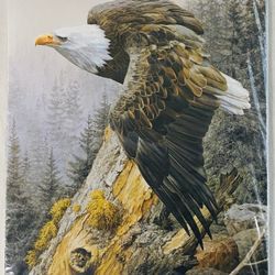 America On The Rise Canvas 