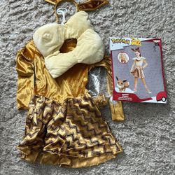 Pokémon Eeve Costume 