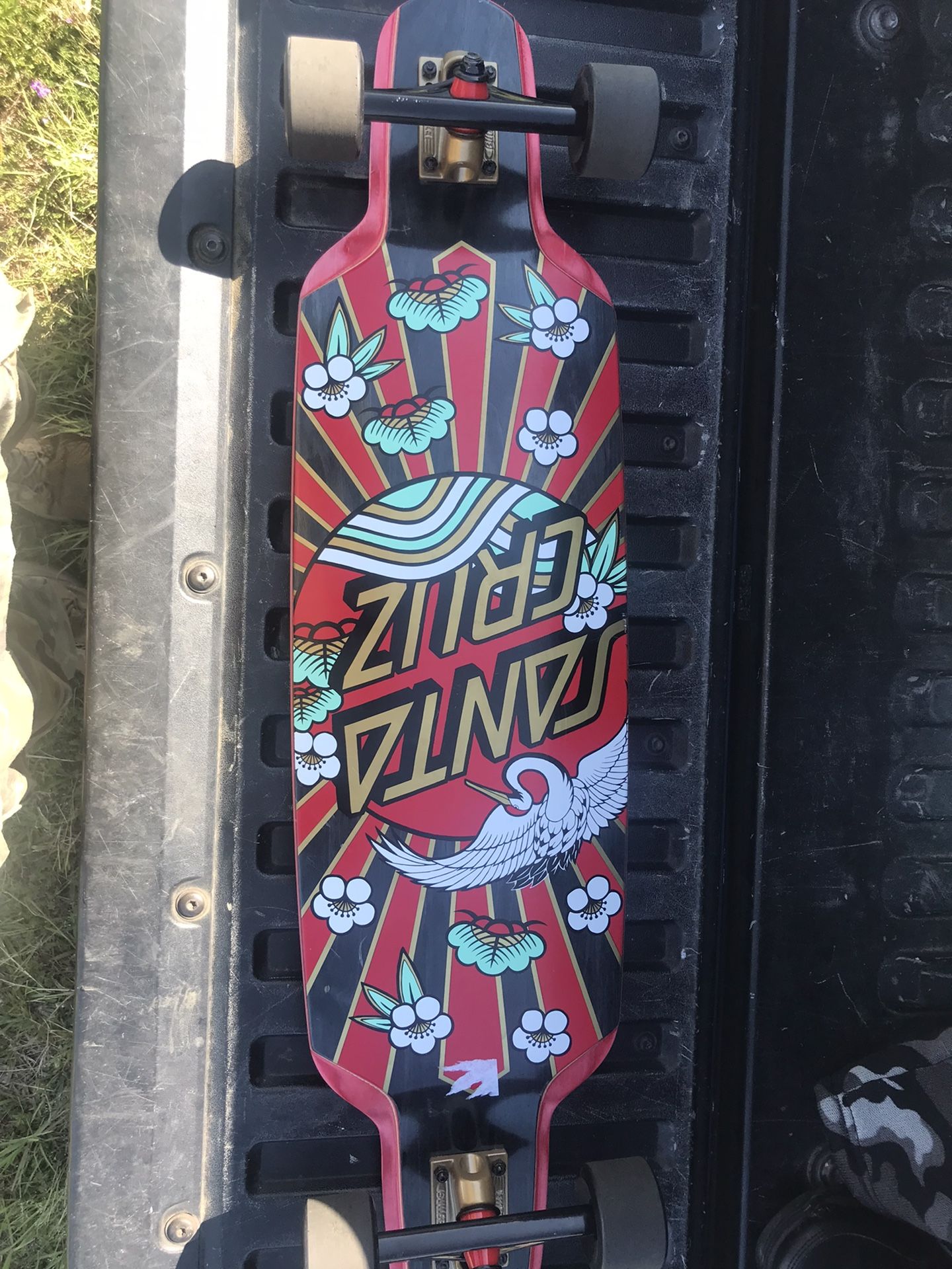 Santa Cruz Crane Dot Drop Down Cruzer 9.5 x 37.52