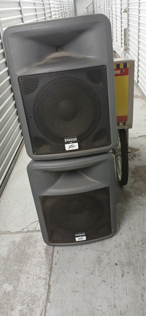 Peavy Speakers.