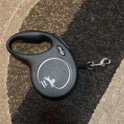 Flexi Extendable Leash