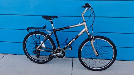 Raleigh Aluminum Hybrid Size Large $160 FIRM