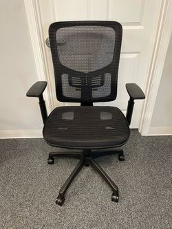 Ergo Office Chair
