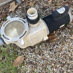 Pool Pumps