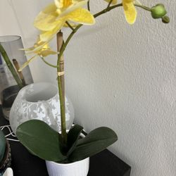 Fake Orchid Plant 