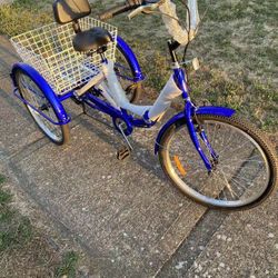 Brand New Tricycle Bike Adult Size