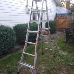 Little Giant Ladder