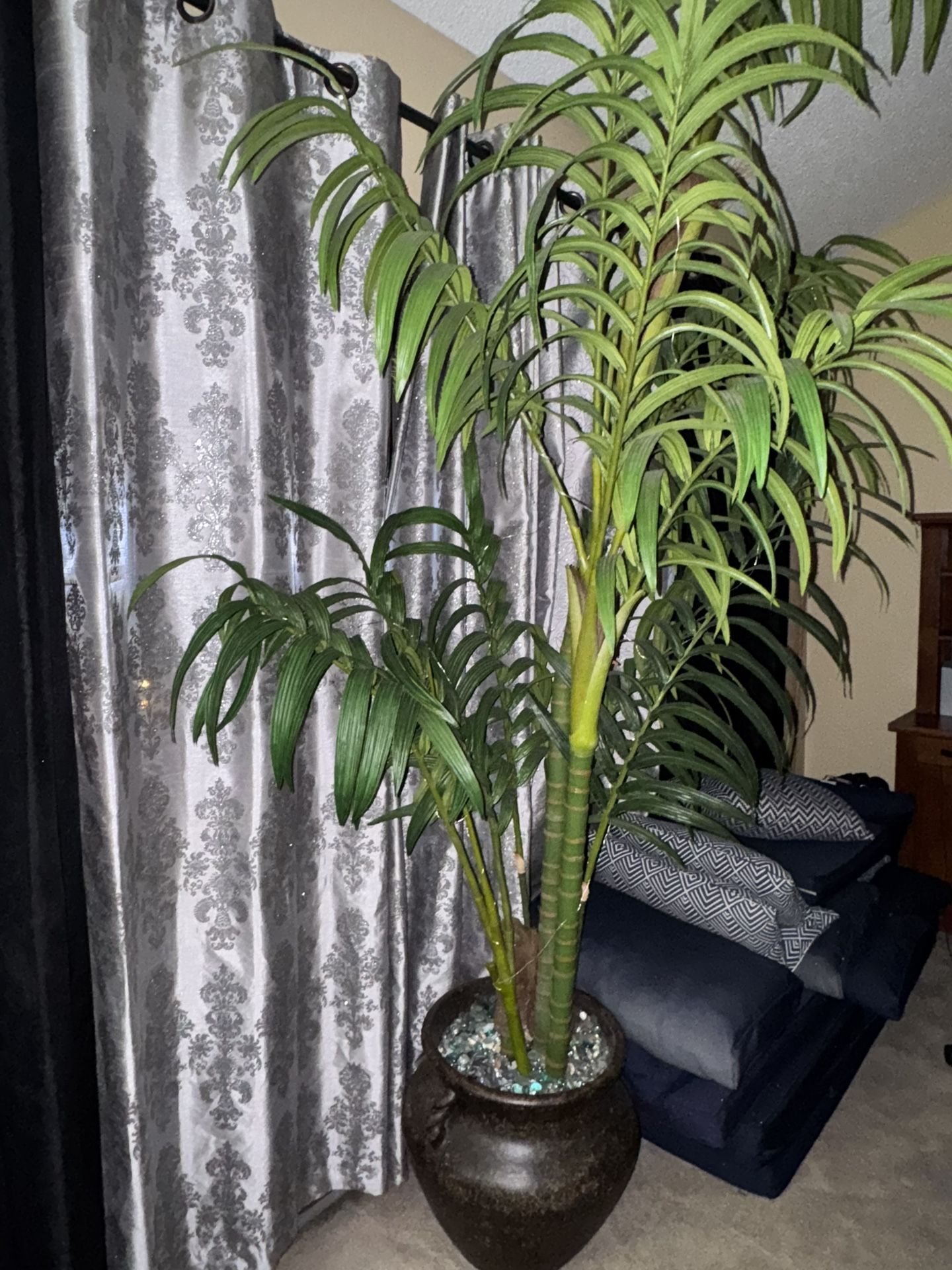 TALL PLANT