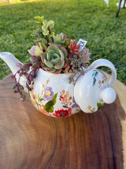 Mother’s Day Succulent arrangement