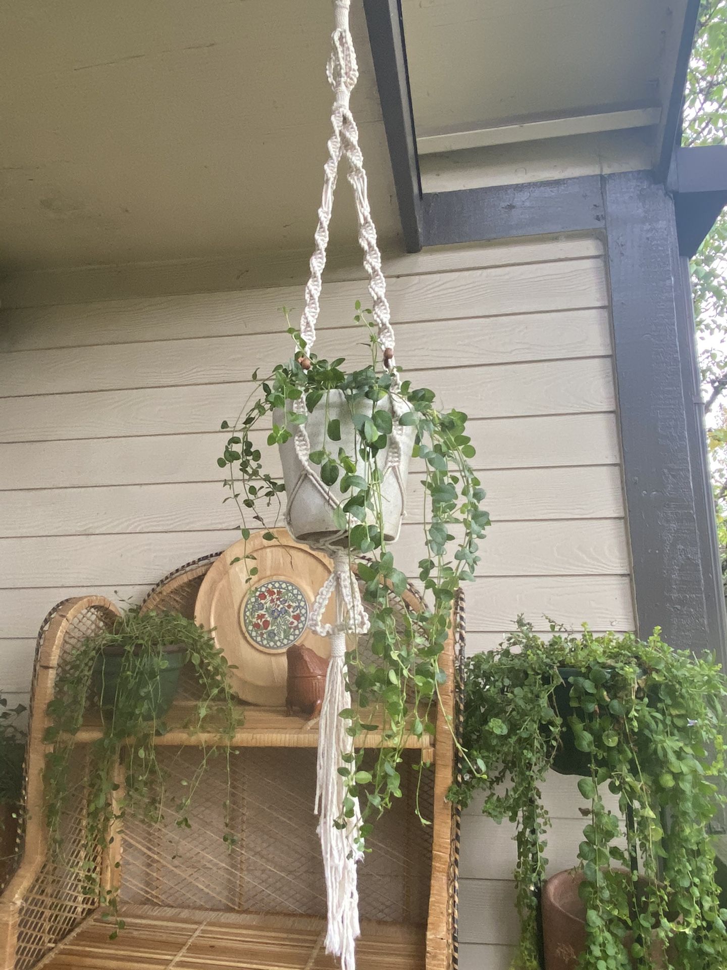 Boho Coastal White Braided Wood Beads Macrame Pot Flower Garden Plant Holder Hanger