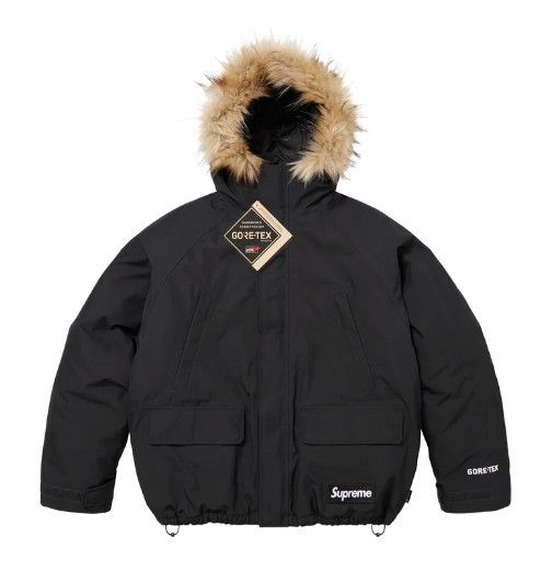 Supreme 2-in-1 Gore-Tex Parka+ Reversible 700-Fill Down Liner Jacket