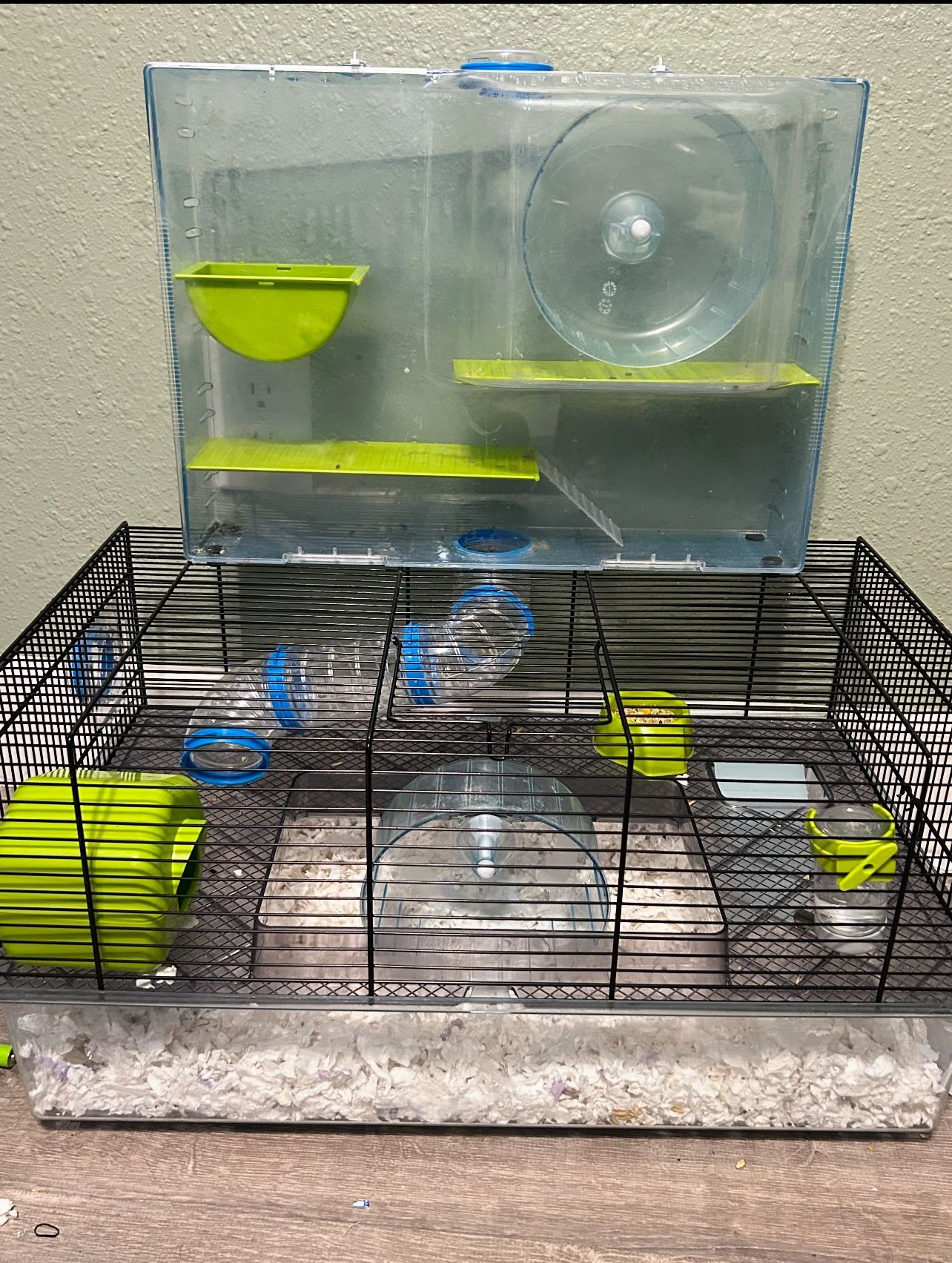 Hamster With The Cage
