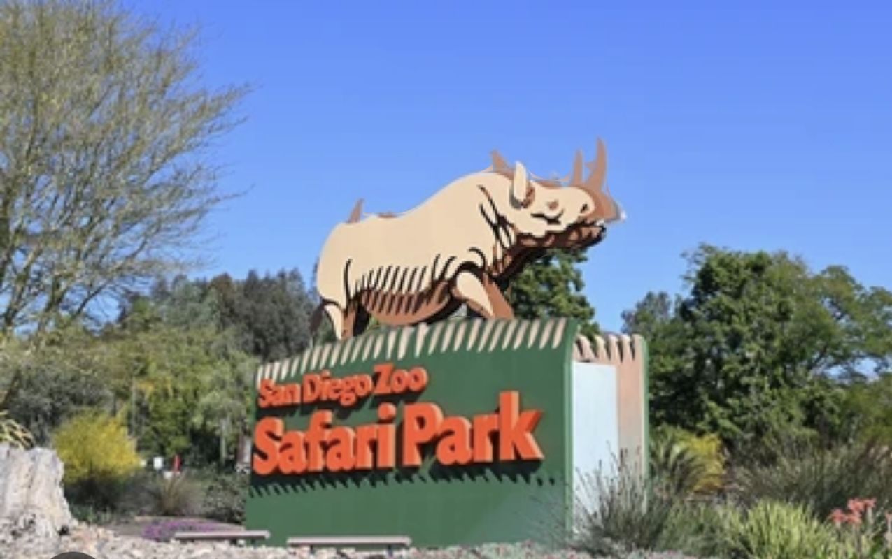 Safari Park