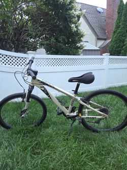 GIANT Mountain Bike (24")