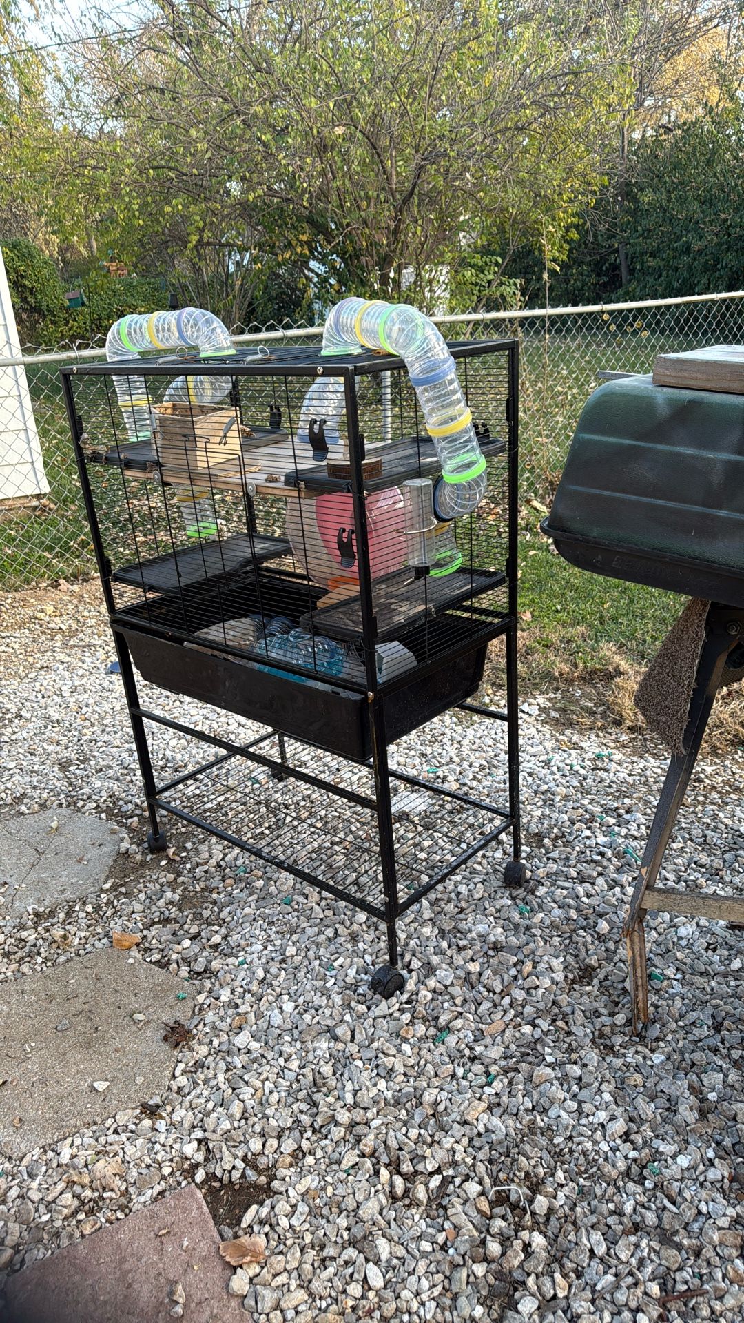 Small Animal Or Bird Cage, 33” Wide X 48” Tall