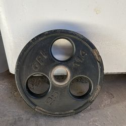 25lb Plate
