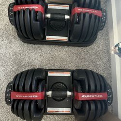Bowflex Dumbbells 