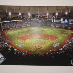 2008 Ray's World Series Canvass