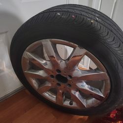 Need Help 