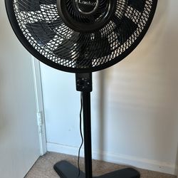 Lasko Oscillating Standing Fan
