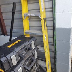 Warner 5 Foot Ladder