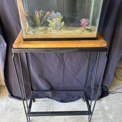 Fish Tank with Stand - small 5 gallon tank in good shape