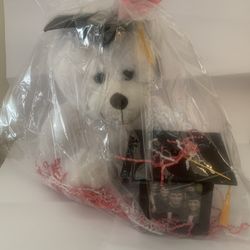 Graduation Teddy Bear And Photo Cube 