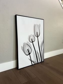 36x24 Large Floating Framed Black and White Tulip Floral Canvas Artwork