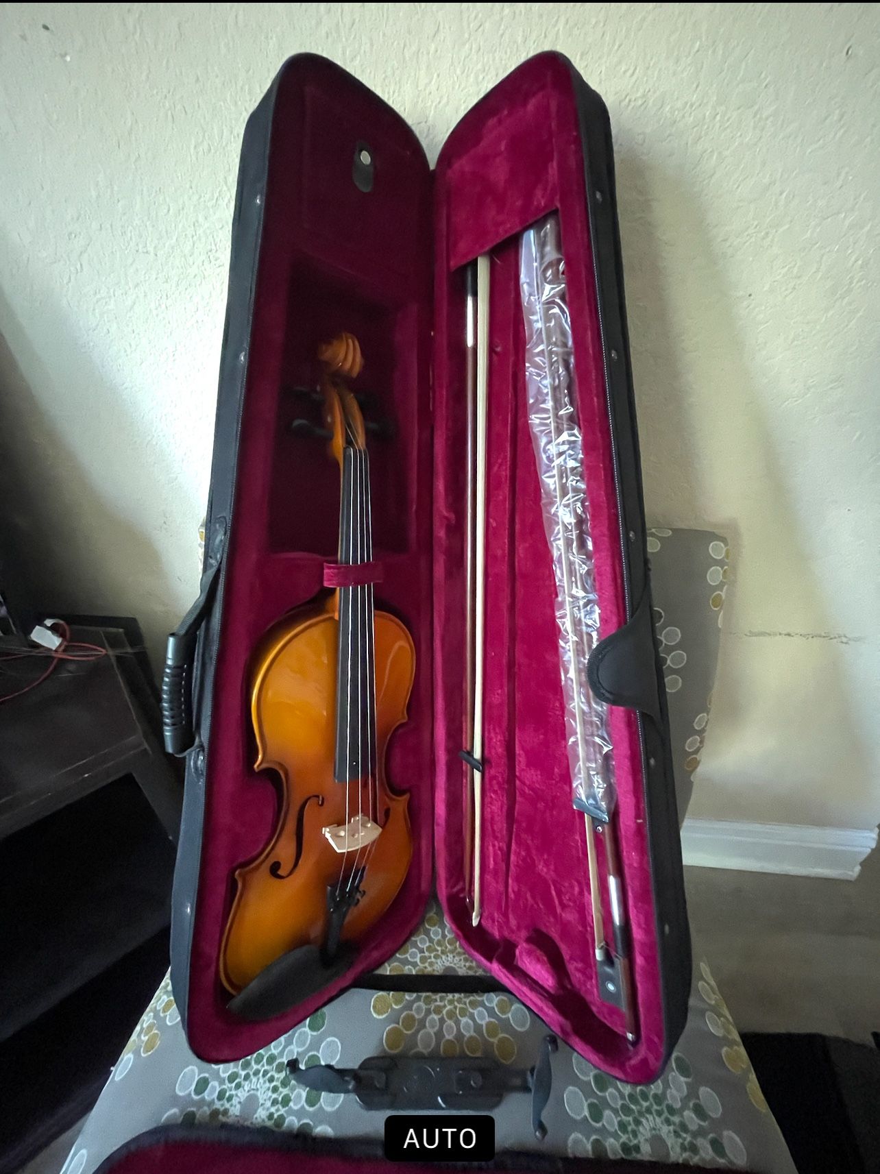 Violin