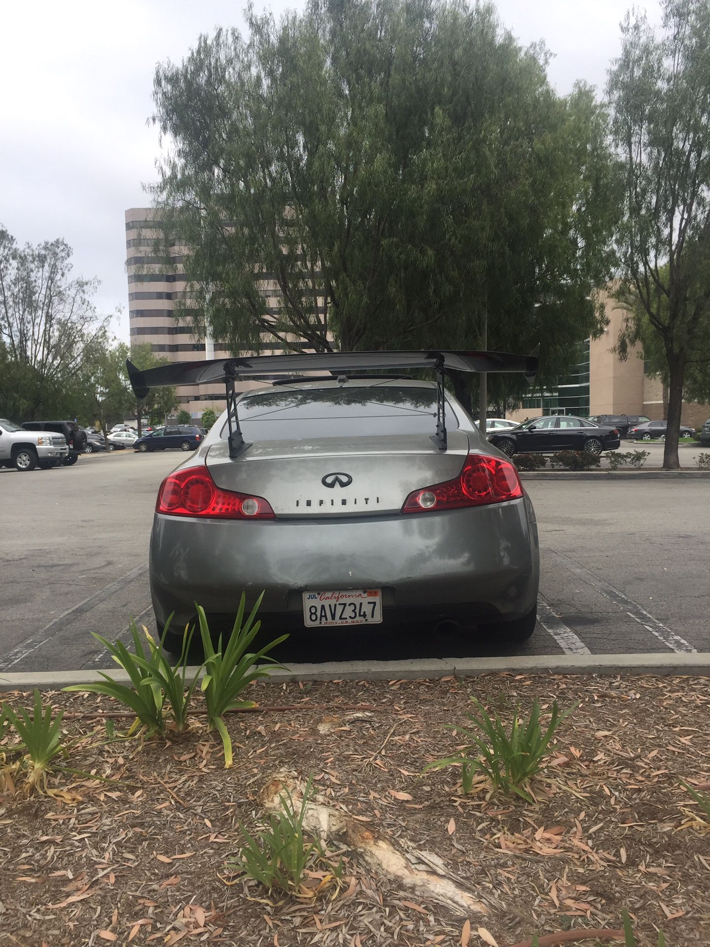 Carbon fiber wing
