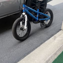 RoyalBaby Freestyle BMX Bike