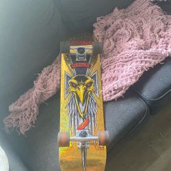 Tony Hawk Skateboard 