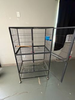 Bird cage