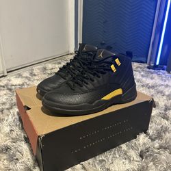 Jordan 12 Size 11