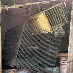 Pet Cage Bird / Hampster Cage With Decorations 3 Cages