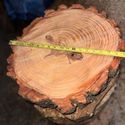 WOOD CAKE BASE