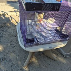 Haula En Buen Estado $35