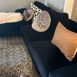 Black Velvet Couches