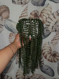 Artificial trailing green succulent plant