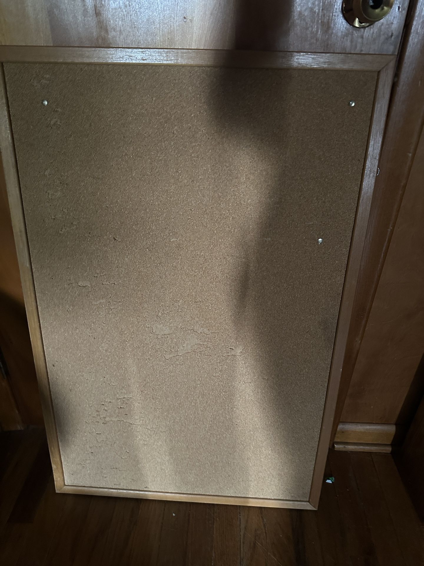 medium sized cork board