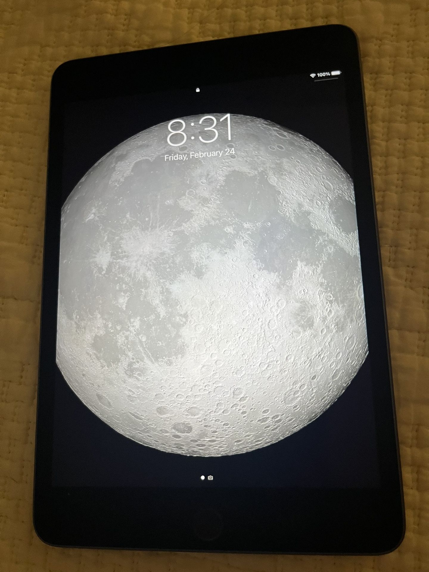 iPad Mini 4th Generation  64GB 