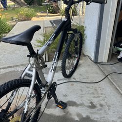 Diamondback Response XE 29er