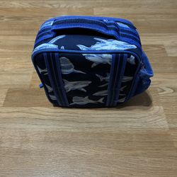 Boy And Girl Lunchboxes 