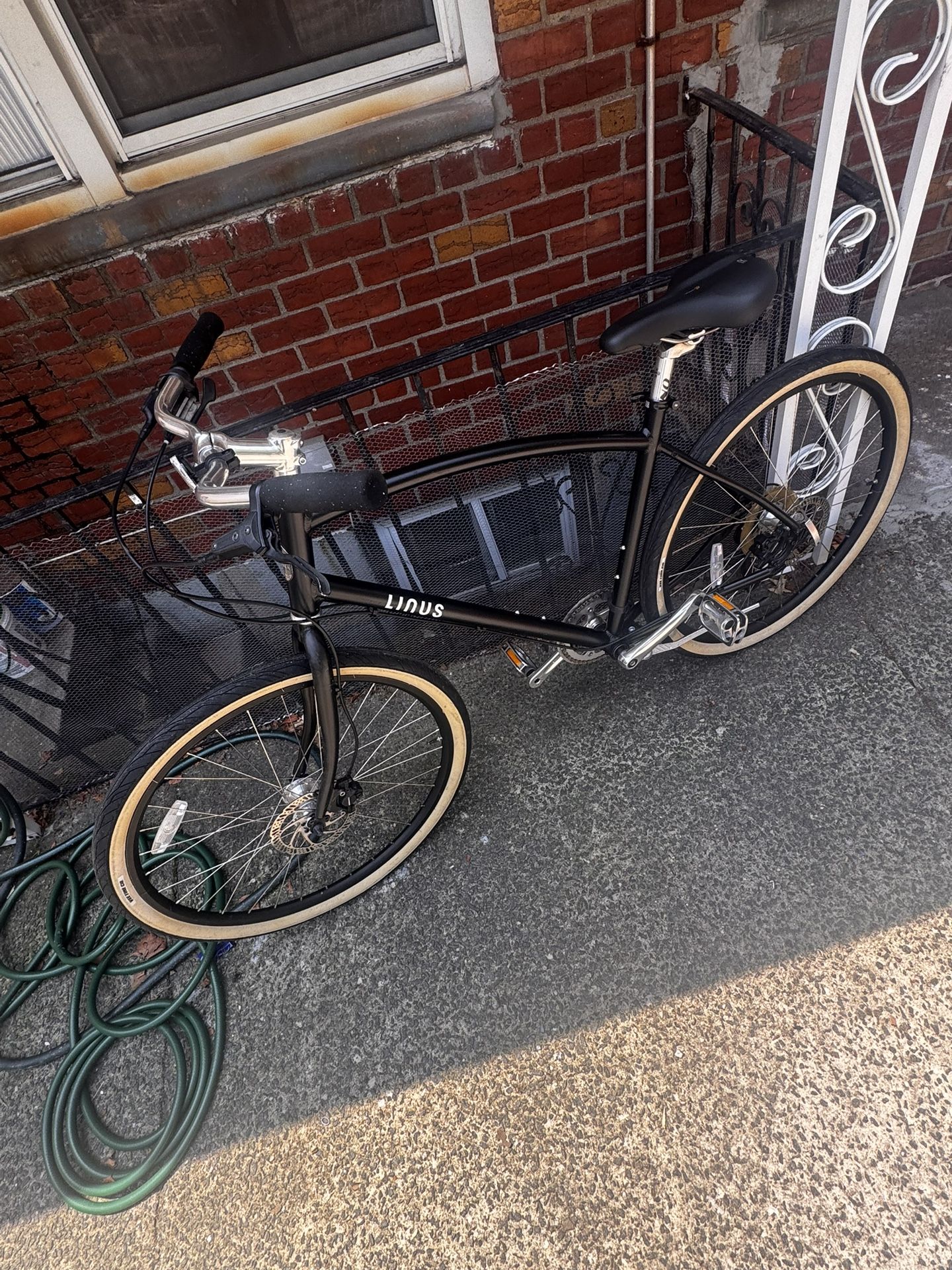 Linus Cruiser  -  Large